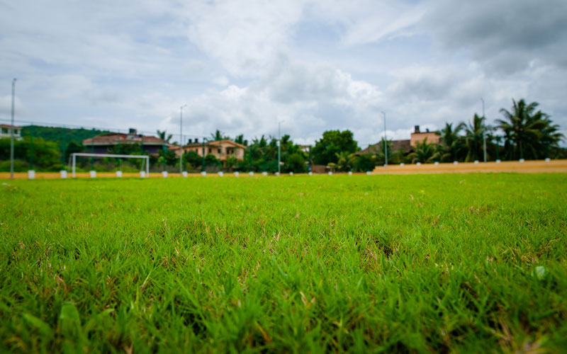 Zoriwado Playground